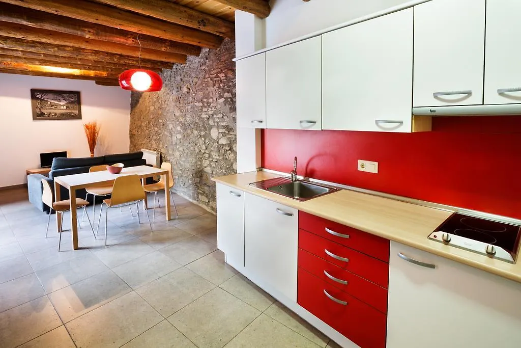 Allotjament Rural Cal Miquel Anserall  Hotel Anserall (Catalonia)